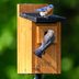 8 Wooden Bird Houses Your Birds Will Love to Call Home