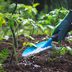 Plant Fertilizer 101: How to Feed Your Garden