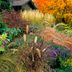 Grow a Gorgeous Fall Garden Your Birds Will Love