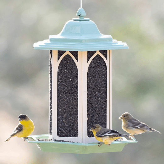 perky pet feeder, bird watching gifts