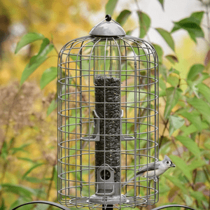 frisco ultra tube feeder