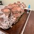 I Tried Growing a Shiitake Mushroom Kitâ€”Here's What Happened