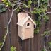 6 Birdhouse Kits from Etsy to Build for Nesting Season