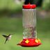 21 Frequently Asked Questions About Feeding Hummingbirds