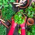 How to Grow a Container Garden for Herbs