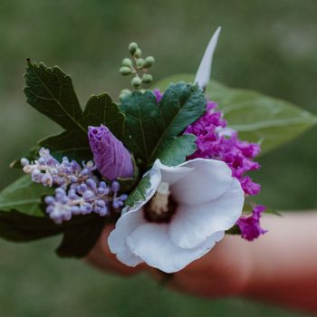 cutting garden flowers