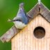 Welcome Feathered Families With Unique Birdhouses