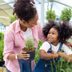 Read This Before Buying a Plant at the Garden Center