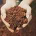 How to Test Your Soil pH and Texture at Home