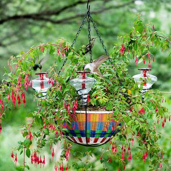 Hanging Basket Hummingbird Feeder Ecomm Uncommongoods.com