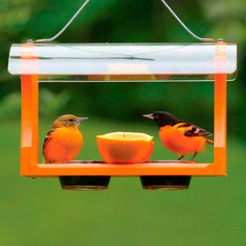 Recycled Plastic Oriole Bird Feeder