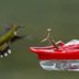 Will a Praying Mantis Eat a Hummingbird?