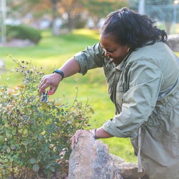 Trimming Fall Flowers Gettyimages 1080537024