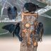 Grackle vs Starling: How to Tell the Difference