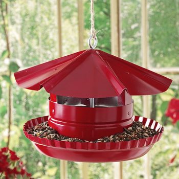 pie pan bird feeder