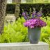 5 Container Garden Ideas to Attract Hummingbirds