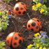 Bowling Ball Ladybug Garden Art