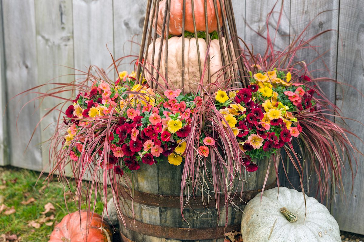 Design Pretty Fall Planters With Autumn Colors