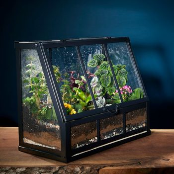 how to make a terrarium