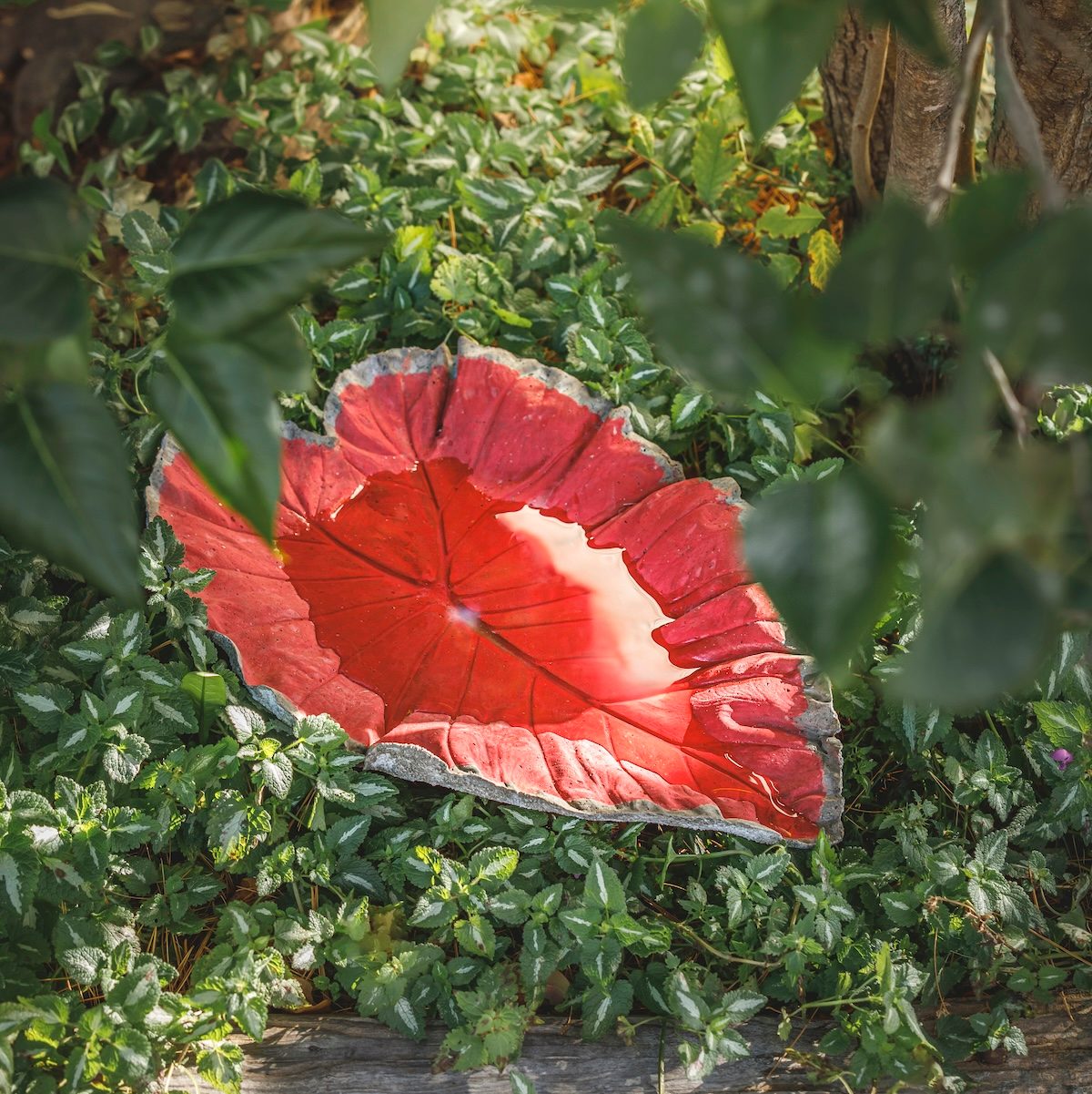 Make a DIY Concrete Leaf Birdbath